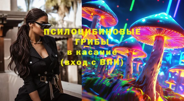 герыч Арсеньев