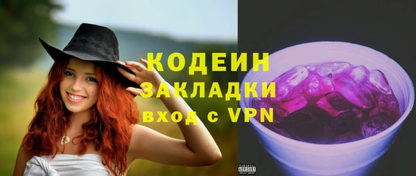 молекула духа Семилуки